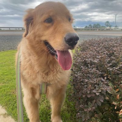 photo_2024-09-19_00-40-32 photo_2024-09-19_00-40-32