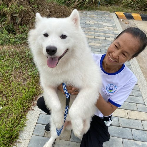 photo_2024-09-19_00-40-42 photo_2024-09-19_00-40-42