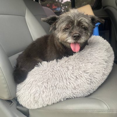 photo_2024-09-20_23-20-44 photo_2024-09-20_23-20-44