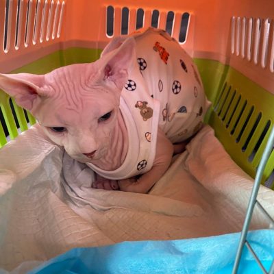 photo_2024-09-20_23-20-49 photo_2024-09-20_23-20-49