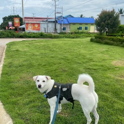 photo_2024-09-20_23-20-53 photo_2024-09-20_23-20-53