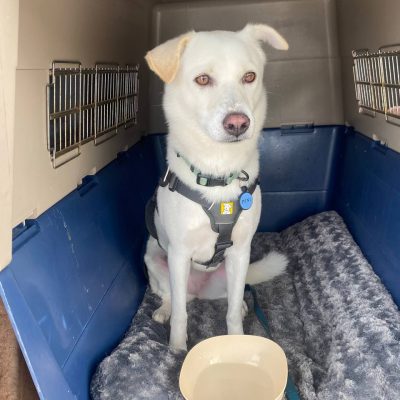 photo_2024-09-20_23-21-06 photo_2024-09-20_23-21-06