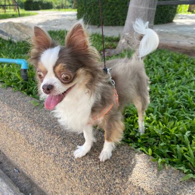 photo_2024-09-20_23-21-10 photo_2024-09-20_23-21-10