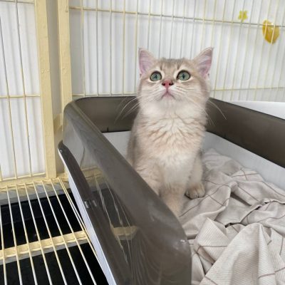 photo_2024-09-20_23-21-18 photo_2024-09-20_23-21-18